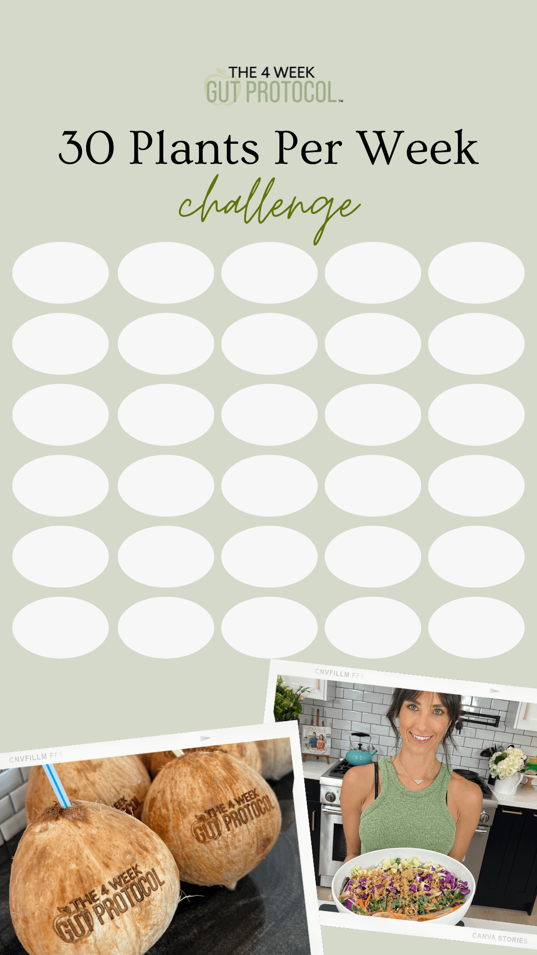 The 4 Week Gut Protocol Retreat {RESOURCES}